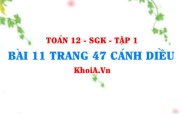 Bài 11 trang 47 Toán 12 tập 1 Cánh Diều
